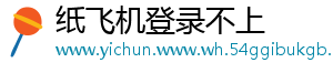 纸飞机登录不上